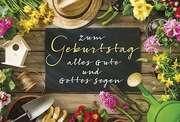 Doro Zachmann - Faltkarte: Zum Geburtstag alles Gute Faltkarte: Zum Geburtstag alles Gute