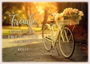 Postkartenserie "Freude/Fahrrad" - 12 Stück Postkartenserie "Freude/Fahrrad" - 12 Stück