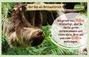 Kräuter-Dip-Postkarte - Bin gerade mit Chillen Kräuter-Dip-Postkarte - Bin gerade mit Chillen