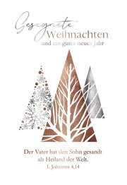 Faltkarte - Weihnachten 1.Johannes 4,14 Faltkarte - Weihnachten 1.Johannes 4,14