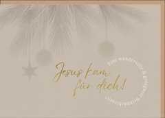 Faltkarte "Jesus kam für dich!"