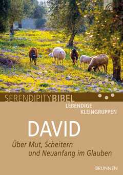Serendipity Bibel: David