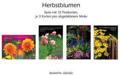 Postkartenserie Herbstblumen, 12 Stück