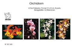 Faltkartenbox Orchideen, 4 Stück