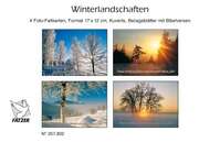 Faltkartenbox Winterlandschaften, 4 Stück Faltkartenbox Winterlandschaften, 4 Stück