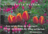 Postkarten Ostern - 12 Stück