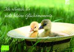 Tee-Postkarte - Ich wünsche dir viele kleine Glücksmomente Tee-Postkarte - Ich wünsche dir viele kleine Glücksmomente