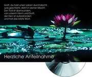 Heiko Bräuning - Heiko Bräuning - CD-Card: Herzliche Anteilnahme (Seerose) CD-Card: Herzliche Anteilnahme (Seerose)