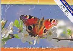 Postkarten Schmetterling, 6 Stück