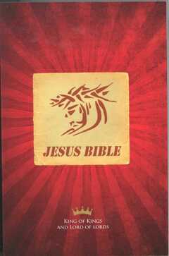 Jesus Bibel - NT - englisch