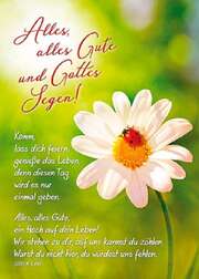 Sören Kahl - Postkarten: Alles, alles Gute und Gottes Segen, 12 Stück Postkarten: Alles, alles Gute und Gottes Segen, 12 Stück